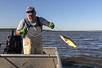 Peoria, Illinois - Dave Buchanan fishes for catfish on the Illinois River. He uses a trotline--a long line from which a hundred or more baited hooks a...