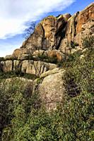 Granite and sticky rockroses in the Regional Park of La Pedriza. Sierra de Guadarrama. Madrid.