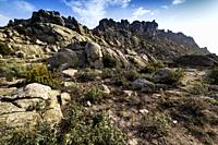 Rockroses and granite cliffs in the Sierra de la Cabrera. Madrid.