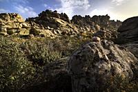 Brooms and cliffs in the Sierra de la Cabrera. Madrid
