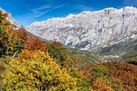 Picos de Europa mountains in autumn, Spain.