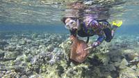 Woman in diving equipment swims and collects plastic debris underwater on the bottom of coral reef. Snorkeler cleaning Ocean from plastic pollution. P...