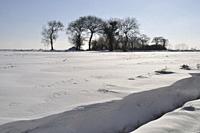 Fields under the snow in Brittany.