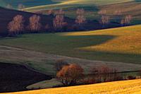 Rural landscape of Turiec region in northern Slovakia.