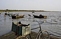 Cycle belonging to a person who came to collect fish to the local fishermen ( lake Ziway, Ethiopia).