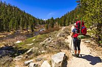 Woman backpacking along Rock Creek in Little Lakes Valley, John Muir Wilderness, California USA.