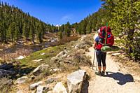 Woman backpacking along Rock Creek in Little Lakes Valley, John Muir Wilderness, California USA.