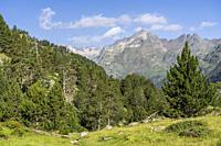 Benasque Valley, Huesca, Pyrenean mountain range, Spain.