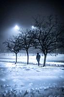 Pedestrian walking along a road on a snowy night.