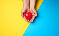 Female hands holds red heart, blue yellow background. Love and donation concept, top view.