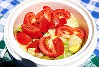 Salad with tomato, lettuce and gherkin into the bowl for day of camp.