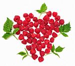 Red ripe raspberries and green leaves on a white background. View from above.