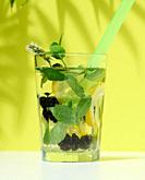 Transparent glass with lemonade, mint leaves, lemon slices and blackberries in the middle. Green background.