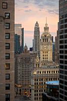 View of the Wrigley building and Chicago downtown.