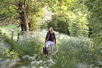 Jeune femme se promenant avec son chien sur un petit sentier de campagne borde d'ombelliferes en lisiere de foret, Departement d'Eure-et-Loir, region ...