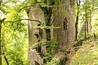 Castle ruins near Chenecey-Buillon, Bourgogne-Franche-Comté, France, Europe.