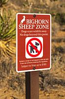 Bighorn sheep zone sign, Joshua Tree National Park, California USA.
