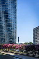 The Eiffel Tower seen from La Defense, a major business district located 3 kilometres west of the city limits of Paris, France.