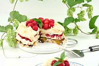 Round meringue pie with fresh raspberries on a white background, Pavlova dessert.
