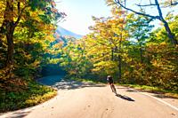 Cyclist biking down a curvy S-Shaped road on an autumn day in Vermont.
