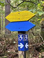 Signpost in a nature trail for the disabled with a wheelchair in Snogeholm recreation area in Sjöbo municipality, Scania, Sweden, Scandinavia.