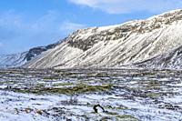 Winter Icelandic Road Trip near Herdisarvik, Southern Region, Iceland, Europe.