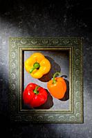 Abstract Set Of Different Bell Peppers Inside of Classic Frame.