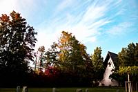 Forest cemetery 'Am Limberg' in Menden (Sauerland) in autumn colors.