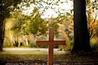 Wooden cross in a forest cemetery