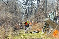 Detroit, Michigan - Workers clear brush and debris from an abandoned railroad right of way that will be part of the Joe Lewis Greenway, a 27. 5 mile h...