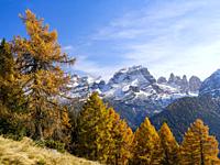 Cima Brenta. View of the Dolomiti di Brenta from Val Rendena in the nature park Adamello - Brenta and part of UNESCO world heritage Dolomites, in the ...