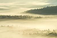 dense fog lies in the valleys of the Palatinate Forest, morning light, Palatinate Forest Nature Park, Palatinate Forest-North Vosges Biosphere Reserve...