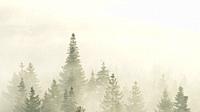 dense fog settles over the forest, morning mood, autumn mood in Pfälzerwald Nature Park, Pfälzerwald-Nordvogesen Biosphere Reserve, Rhineland-Palatina...