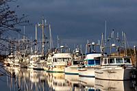 Small commercial fishing vessels moored at Scotch Pond in Steveston British Columbia Canada.