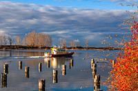 Search and rescue patrol boat leaving Steveston Harbour in early morning light British Columbia Canada.
