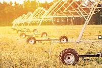 Irrigation Machine At Agricultural Field With Young Sprouts, Green Plants On Black Soil. Irrigation Pivot. Farming Sprinklers In Field Irrigation And ...