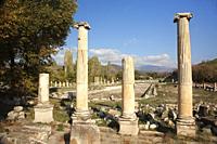 View of the South Agora and Pool at the Aphrodisias Archaeological Site, a sanctuary dedicated to the goddess Aphrodite, Geyre, Aydin Province, Asia M...