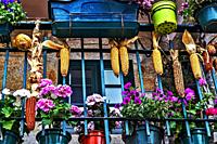 Cobs and geraniums on a balcony in Combarro. Pontevedra. Galicia. On a balcony in Combarro in Pontevedra, Galicia, it is common to see a variety of fl...