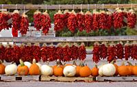 red chile ristras and pumpkins for sale by roadside, New Mexico.