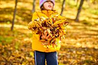 Happy adorable child girl laughing and playing yellow fallen leaves in autumn outdoors, Happy moment.