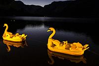 boats as swans on Hallstatter see, Austria.