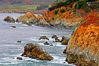 Big Sur, cliff coast, Pacific ocean, California, USA