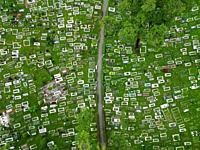 Aerial top down view of green lush Muslim cemetery.