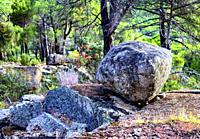 In the forest of Cadalso de los Vidrios, in the Community of Madrid, you can find granite rocks, which form a unique and differentiated landscape. The...
