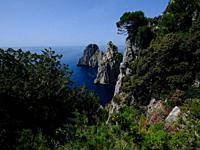 Seaside from Capri, island near Napoli,Italy.
