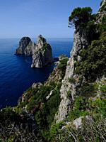 Seaside from Capri, island near Napoli,Italy.