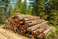 Logging coexists with spectacular recreation and outdoor activitiers in North Idaho's Priest Lake.