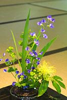 Ikebana, flower arrangement, Canada, Quebec, Montreal, Botanical Garden, Japanese Garden,.