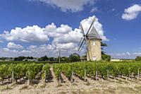 Vineyards with Lamarque windmill, Haut-Medoc, Bordeaux, Aquitaine, France.