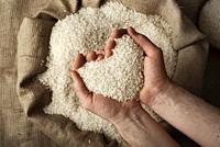 Human hands in shape of heart holding handful of rice over burlap sack.